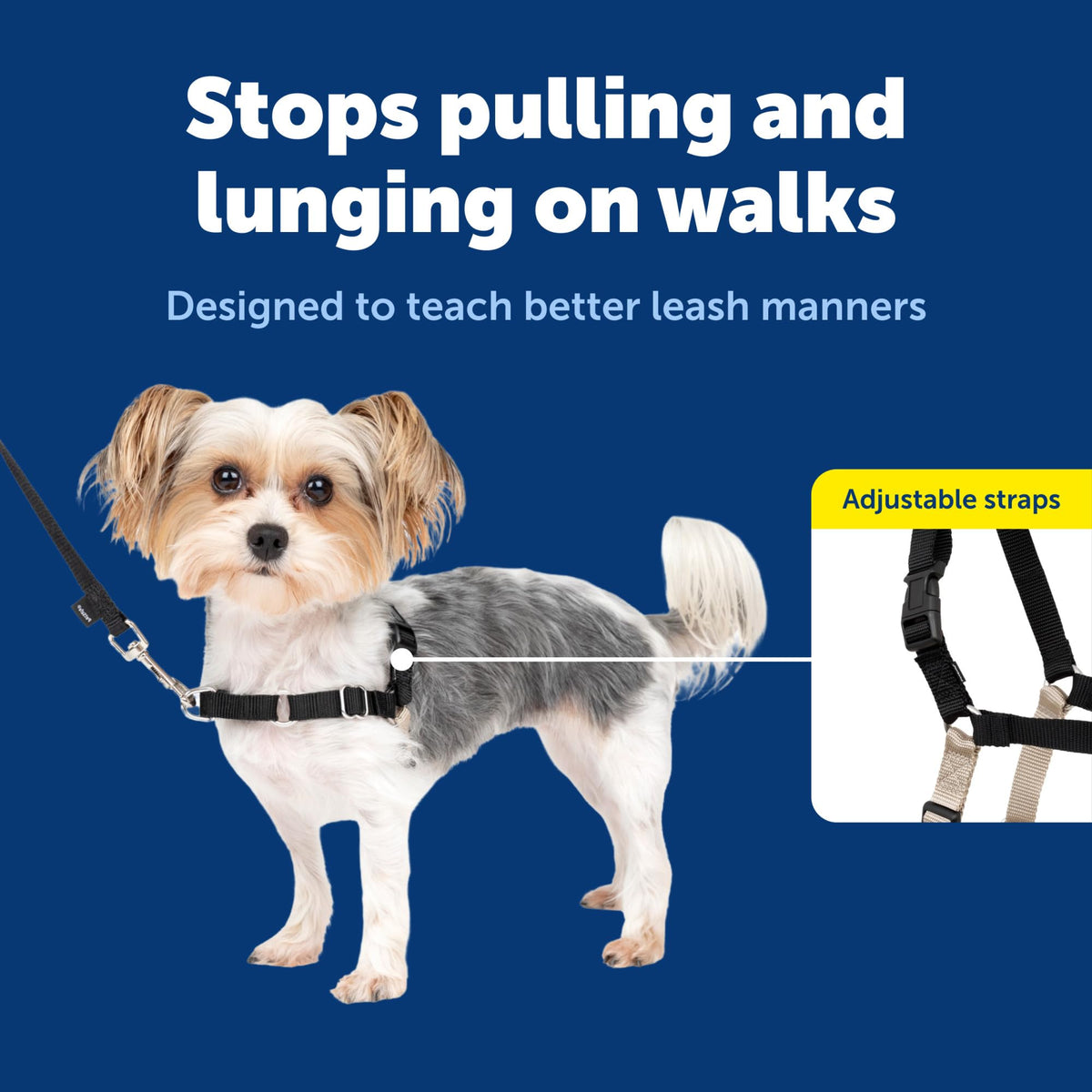 Easy Walk Harness (Petite / Black)