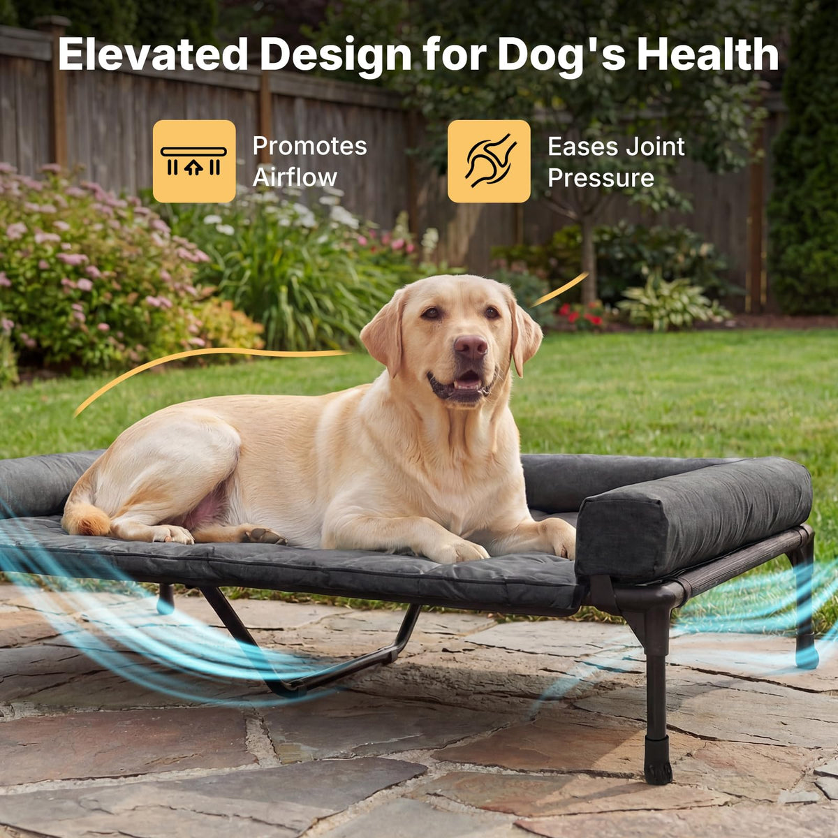 Outdoor Elevated Dog Bed with Waterproof Bolster Cushion (Black / 53.0"L x 37.5"W x 9.0"Th)