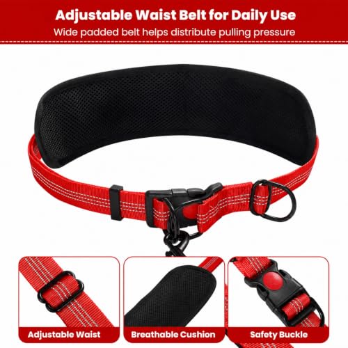 Hands Free Double Dog Leash
