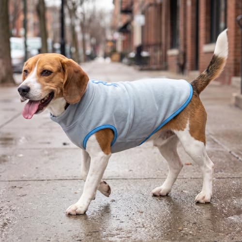 Fleece Dog Sweater (Large / Blue)