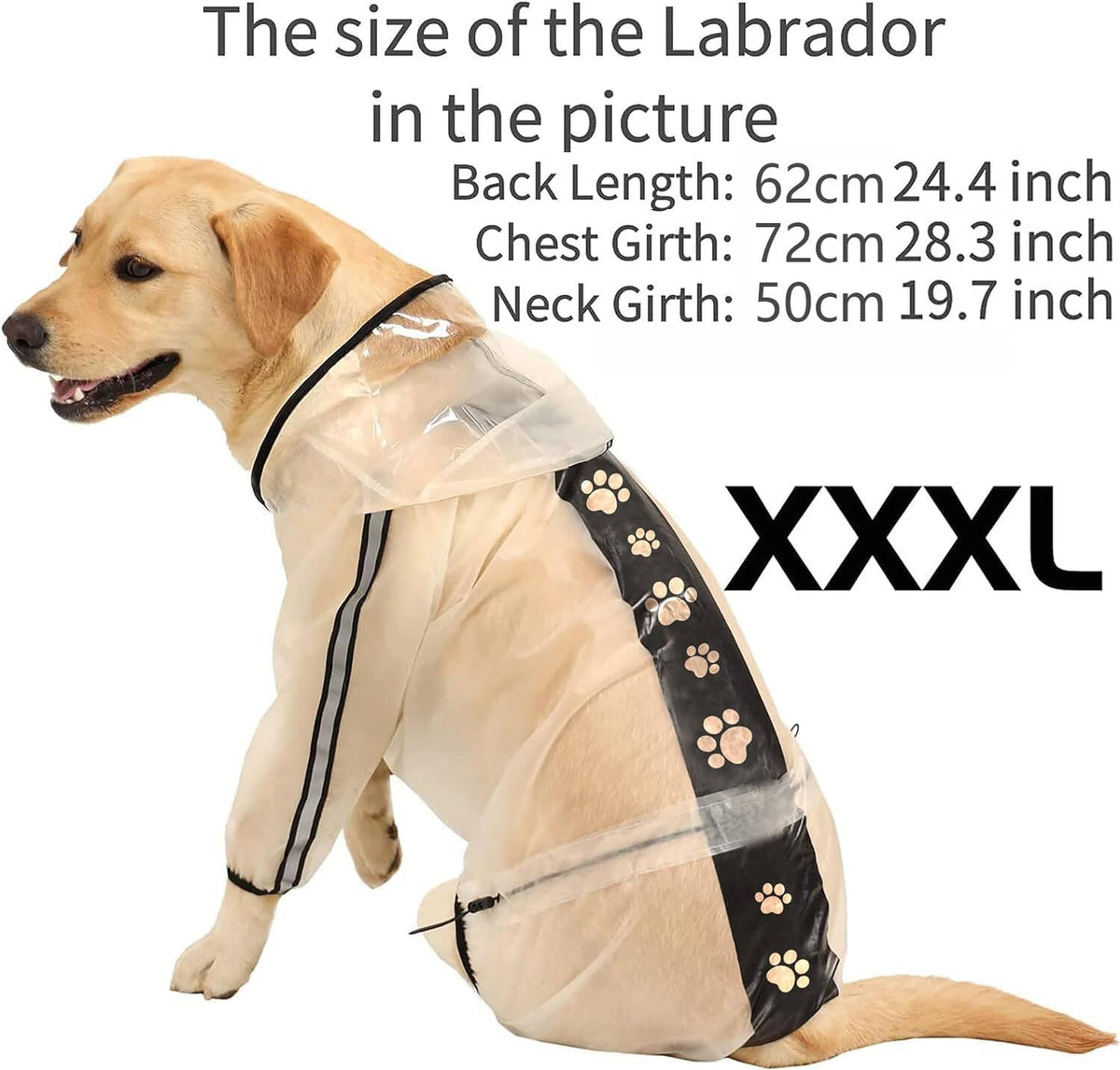 Dog Raincoat Dog Hooded Slicker Poncho (White / M)
