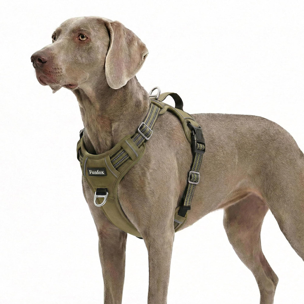Dog Harness for XLarge Dogs (Army Green / X-Large)