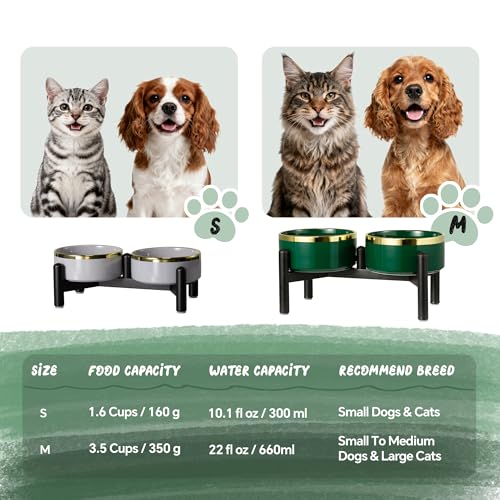 Ceramic Elevated Dog Bowl Set (Grey / 1.6 Cups)
