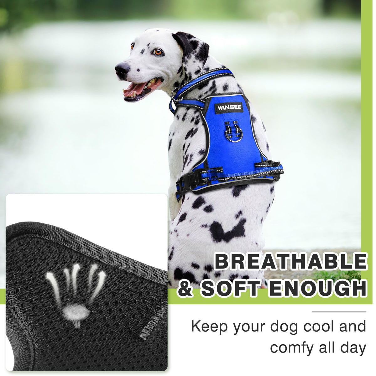 Dog Harness No Pull (Small / Blue)