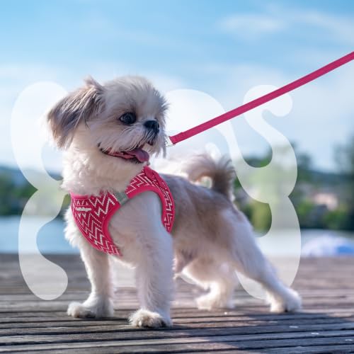 Dog Harness Small Sized and Leash Set (Rose Red Wave / S (Chest: 15.1"-16.5"))