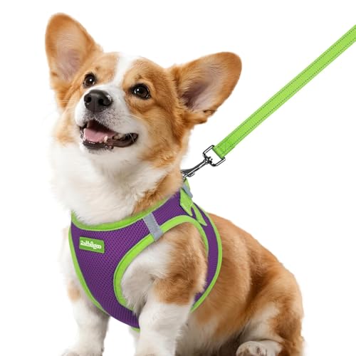Dog Harness Small Sized and Leash Set (Purple & Green / L (Chest: 18.2"-20.5"))