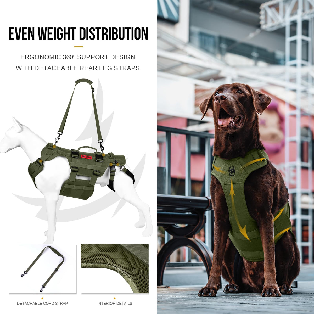 Dog Lift Harness for Large Dogs (Green / XL)
