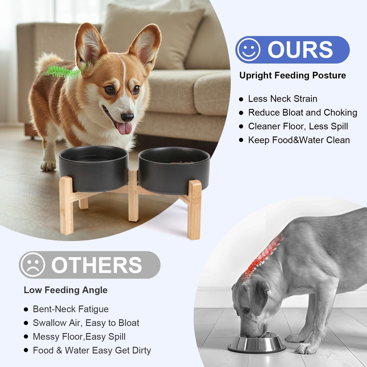 Elevated Dog Bowls Ceramic (6.1 in - 3.6 cups / Black)