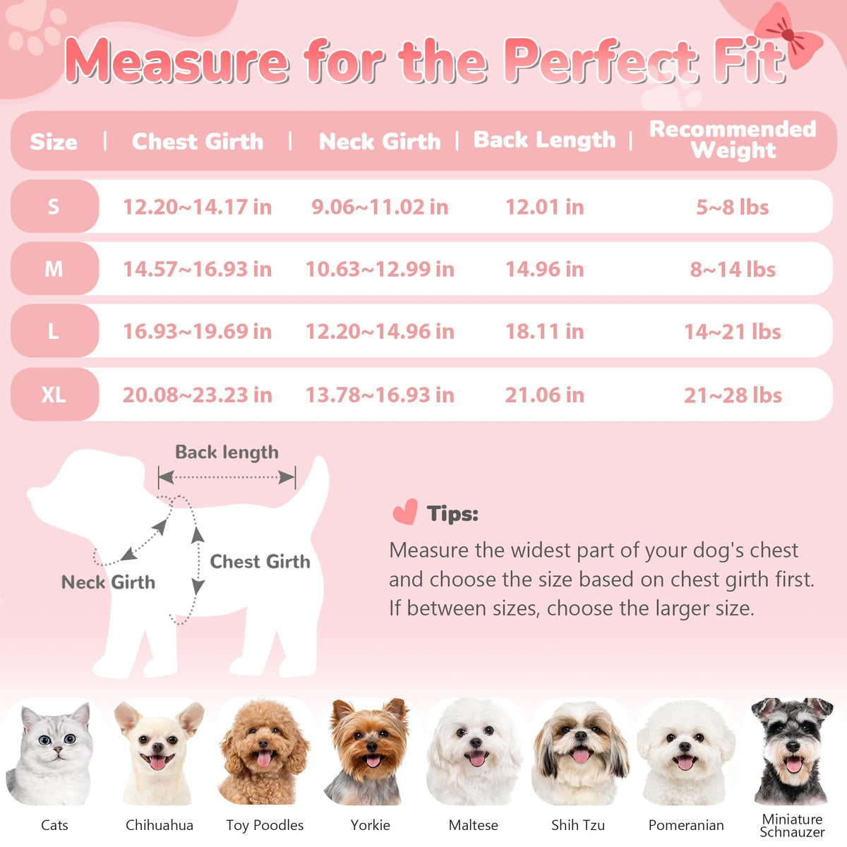 Bowknot Dog Sweater Dress for Small Dogs Girl (Medium (8-14lbs) / Rose Pink)