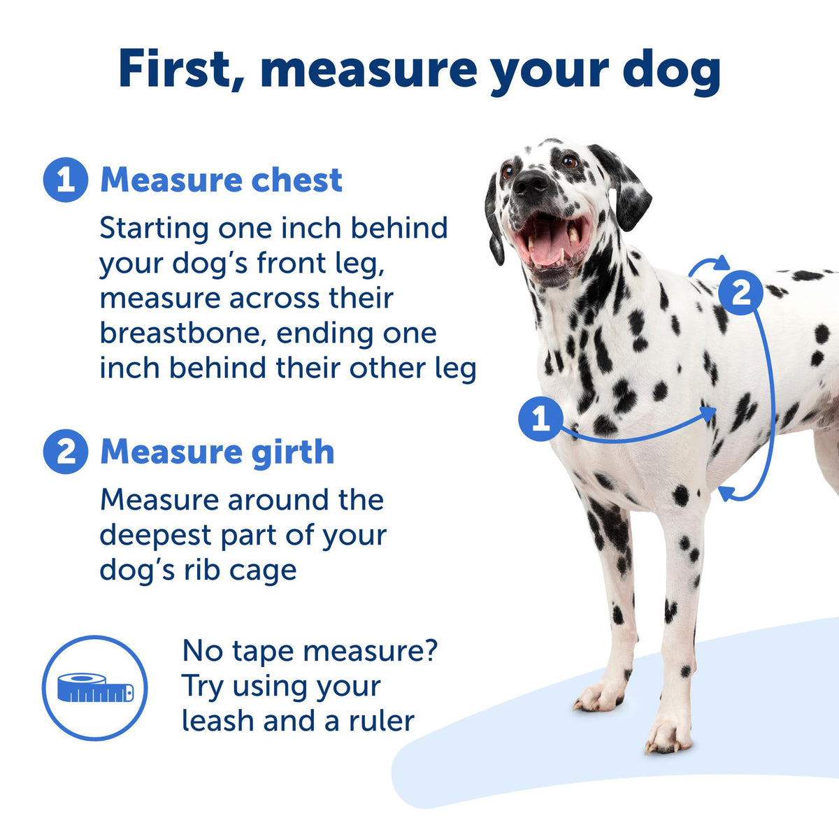 Easy Walk Harness (Large / Royal Blue/Navy)