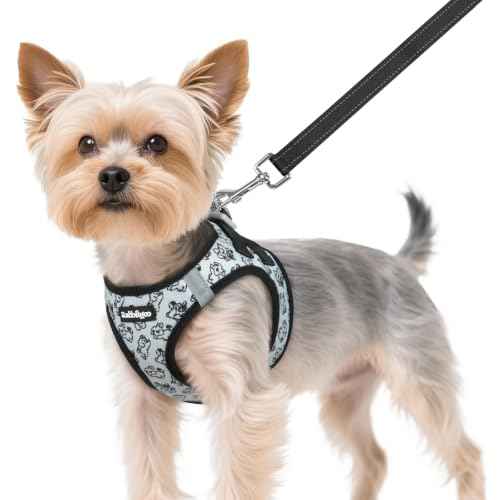 Dog Harness Small Sized and Leash Set (Grey Pups / XS (Chest: 13.3"-15.5"))