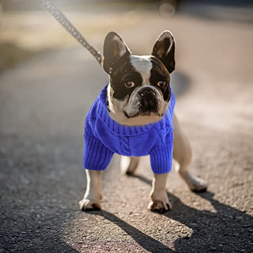 XXL Dog Sweater (XX-Large / Royal Blue)