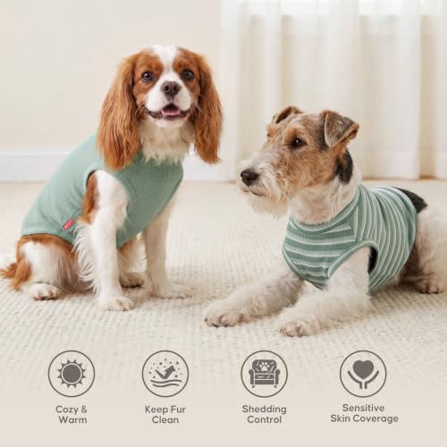 2Pack Waffle Dog Shirt for Small Dogs Striped Dog Sweater Tank Top (Small (4-7lbs) / 2Pack(Green+Striped))