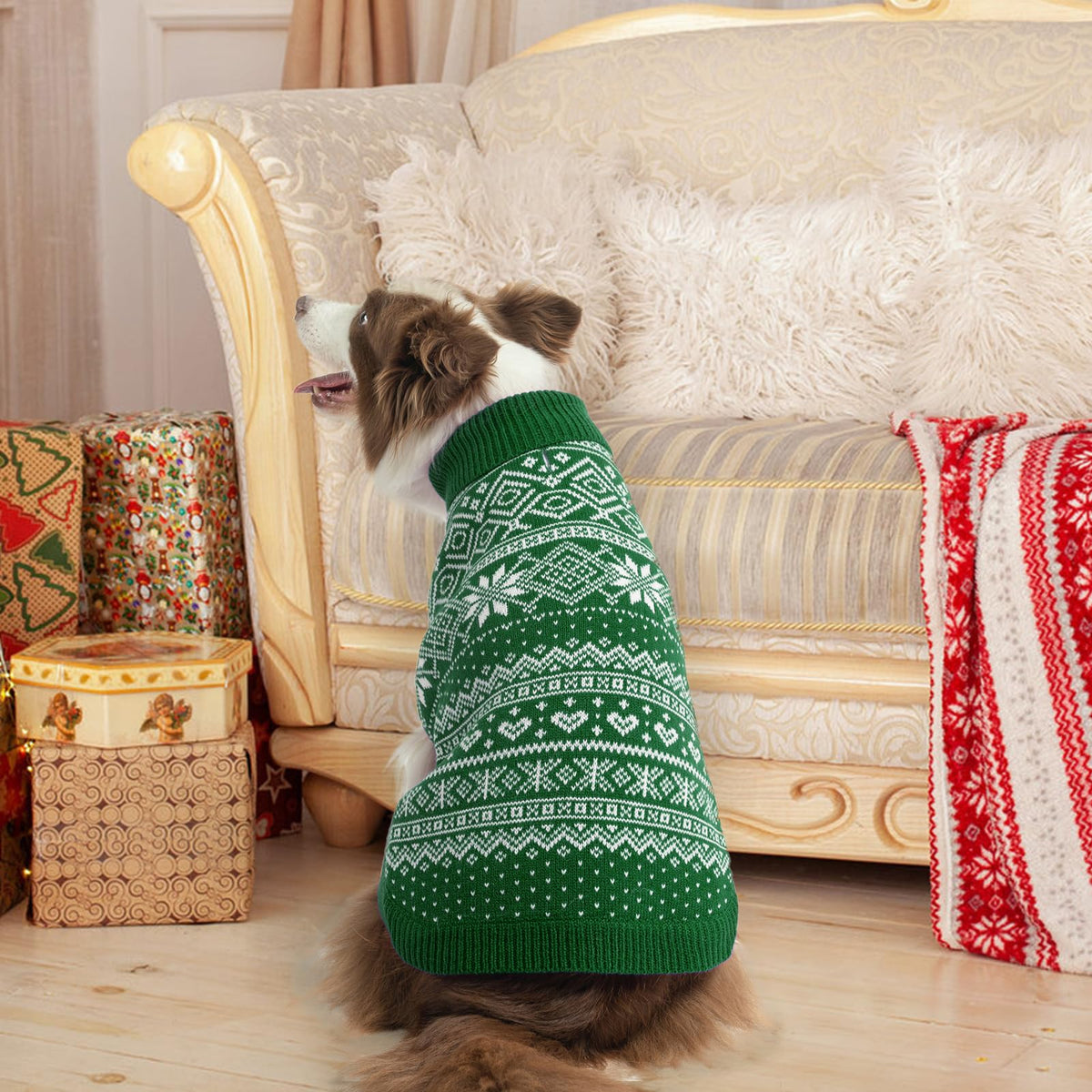 Dog Sweater Argyle (Green / Small)