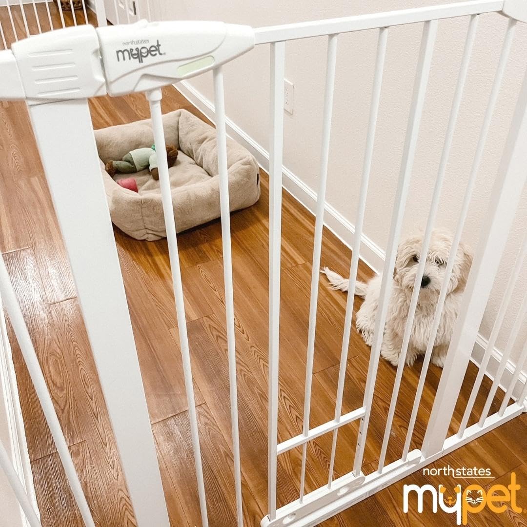 EasyPass Extra Tall & Wide Walk Thru Pet Gate (Walk Thru EasyPass / 41" Tall; 52" Wide / White)