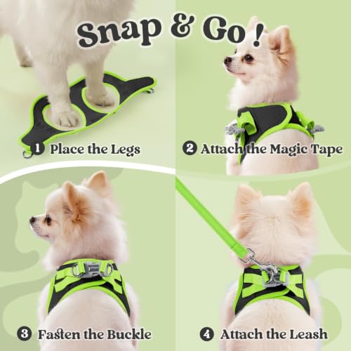 Dog Harness Small Sized and Leash Set (Black & Green / L (Chest: 18.2"-20.5"))