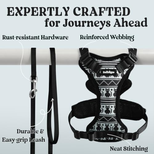 Cat Harness and Leash Set (Xs / Pixel Tabby)