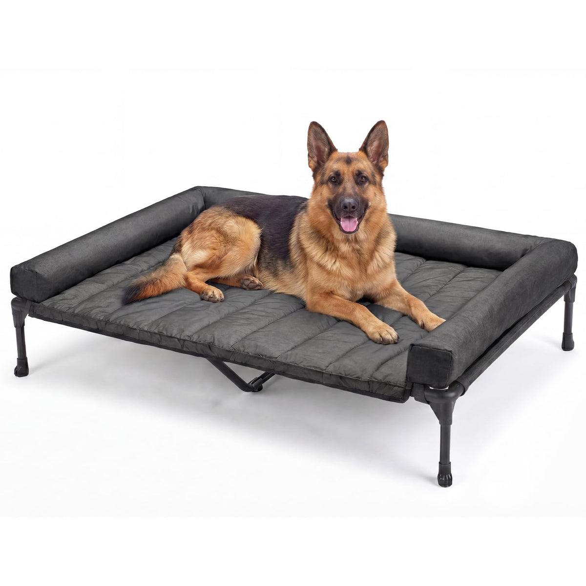 Outdoor Elevated Dog Bed with Waterproof Bolster Cushion (Black / 53.0"L x 37.5"W x 9.0"Th)