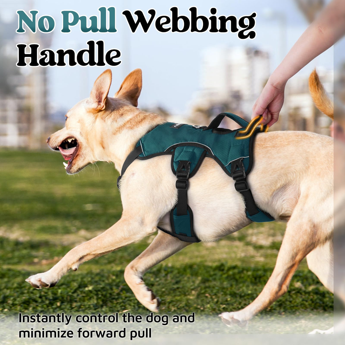 Escape Proof Dog Harness for Medium (Dark Green / Medium)
