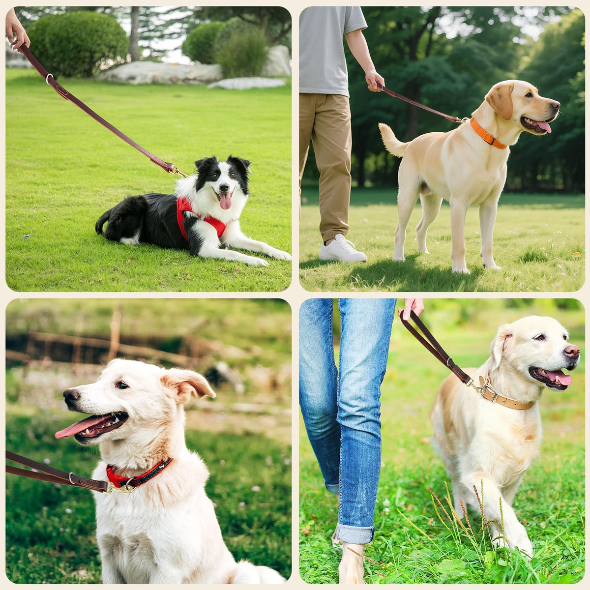 Leather Dog Leash (2.0 ft L x 0.75 in W)