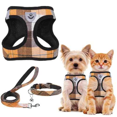 Dog Harness Collar and Leash Set No Pull for Small Medium Sized (Orange / XS (CHEST 13"-14.5"))