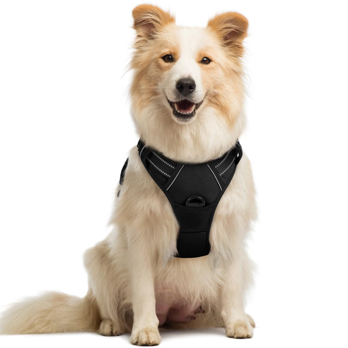 Dog Harness No Pull Medium Sized with 2 Leash Clips (Medium / Black)