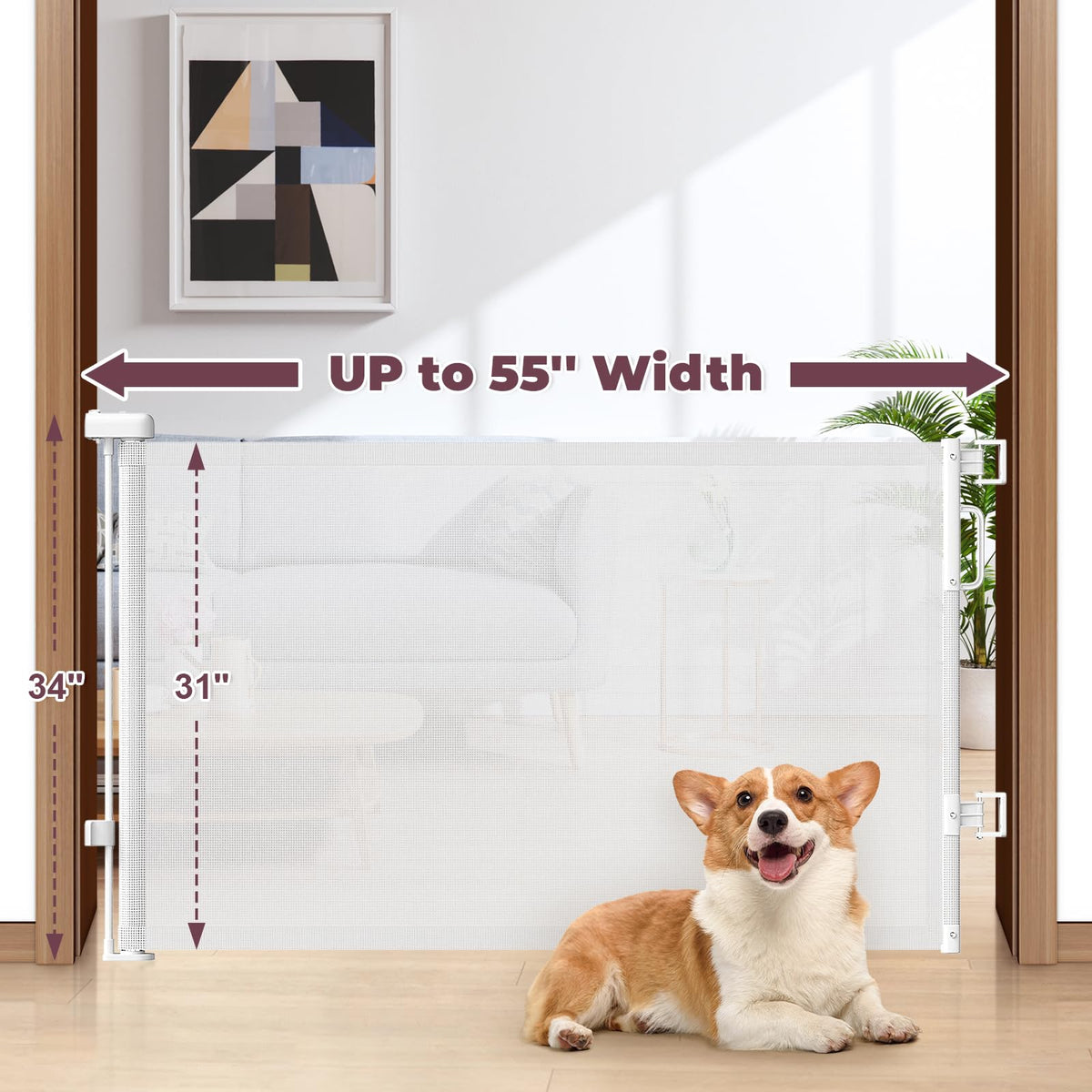 Retractable Baby Gates 2 Pack (White / 34" Tall x 55" Wide (2Pack))
