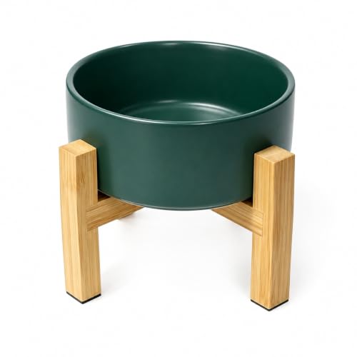 Raised Dog Bowl (Small / Green)