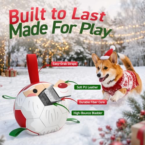 Christmas Dog Balls with Straps (Christmas 1 / 6 Inch)