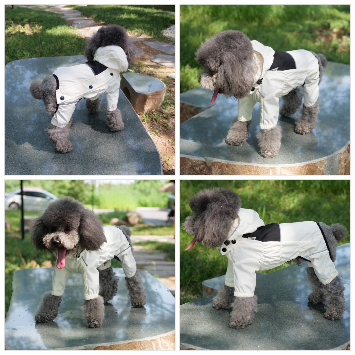Waterproof Dog Raincoat with Removable Hood (Ivory / XXL (Back 20.5"))