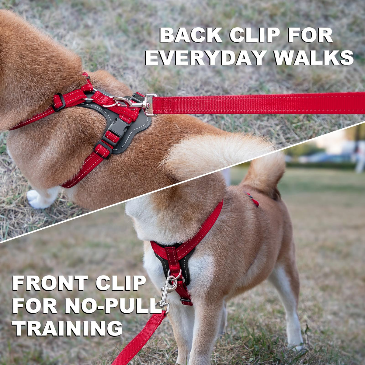 No Pull Dog Harness with Leather Accents (S / Red)