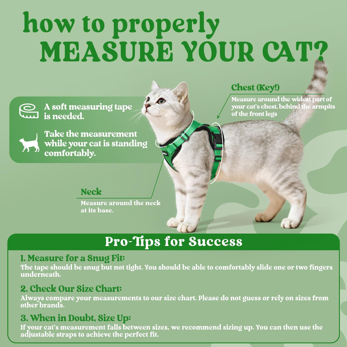 Cat Harness and Leash Set (Xs / Grass Green)