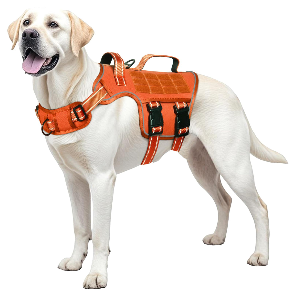 Dog Harness for Large Dogs (Orange / L(Neck:18-24",Chest:25-36"),45-80 lbs)