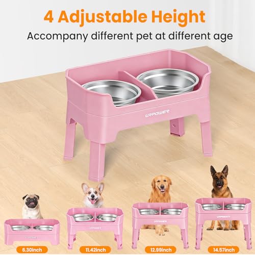 Elevated Dog Bowls