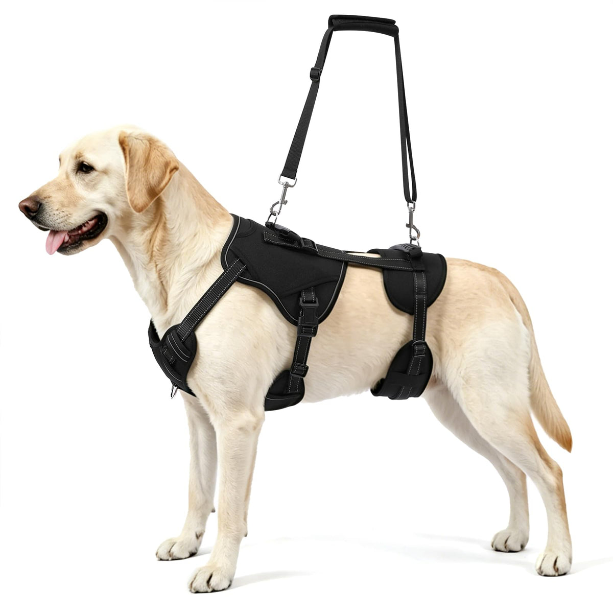 Dog Lift Harness (Black-2 / X-Large)