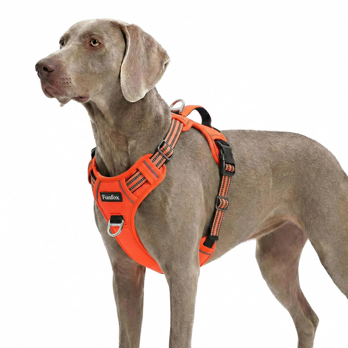 Dog Harness for XLarge Dogs (Orange / X-Large)