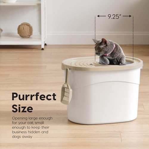 Top Entry Cat Litter Box (Oval / White w/ Scoop)