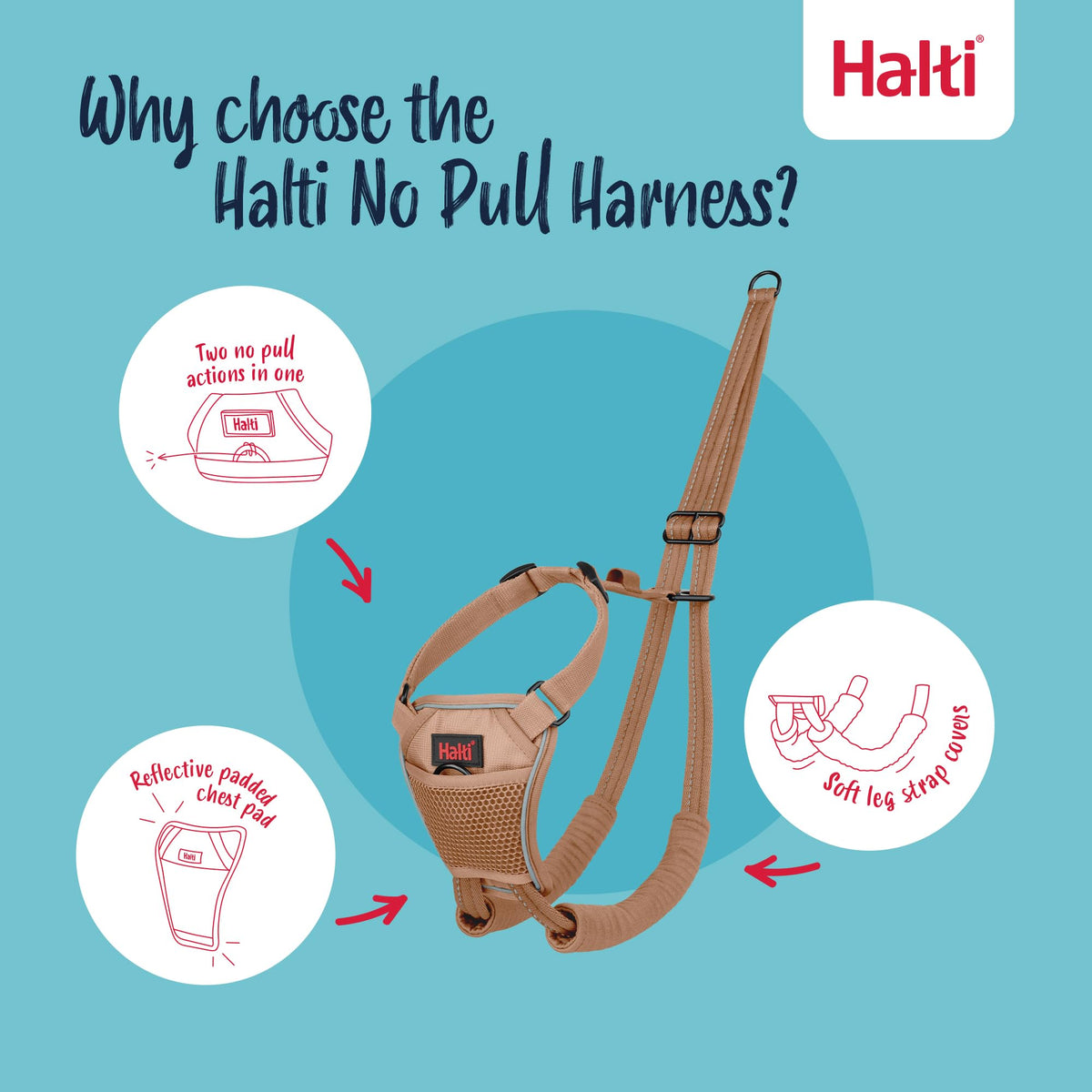 No Pull Dog Harness (Desert Sand / L)