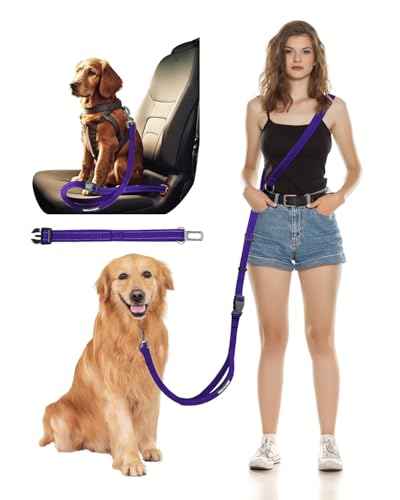Hands Free Dog Leash with Seatbelt Set (Purple (Detachable) / 71-110‘’)