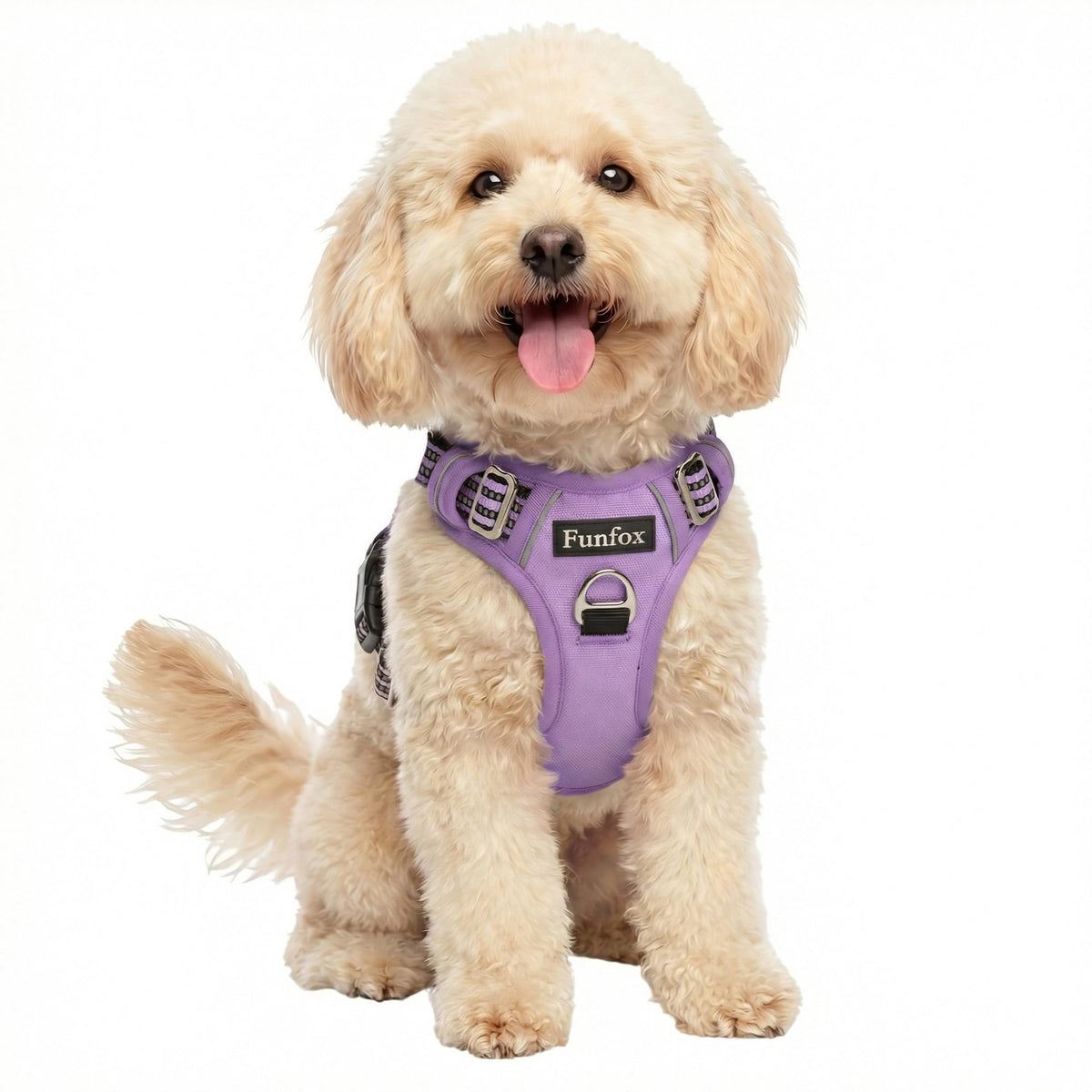 Dog Harness Small Sized Dog (Purple / Small)
