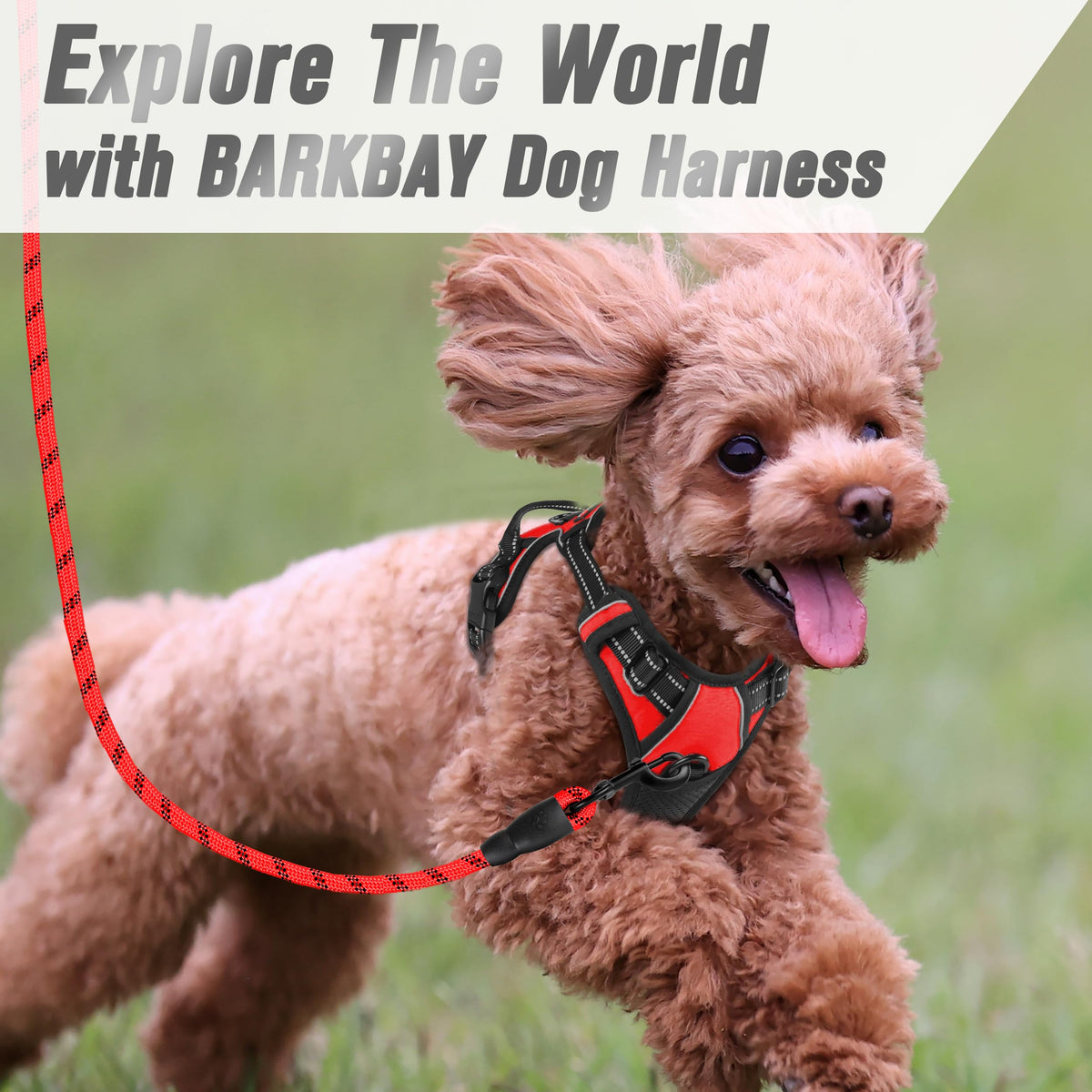 Dog Harness No Pull for Small Sized Dog Front Back Clips (X-Small(Chest:15.5-19.5”) / Red)