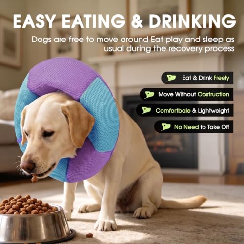Dog Cone Soft Cone for Dogs to Stop Licking (Purple Blue / Large)