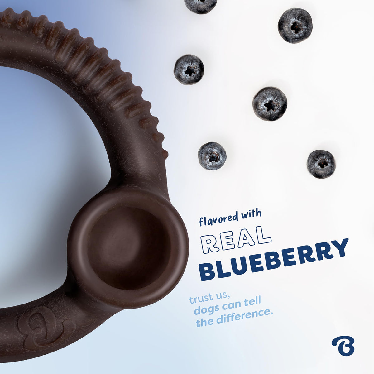 Ring Dog Chew Toy for Aggressive Chewers (REAL Blueberry / Medium)