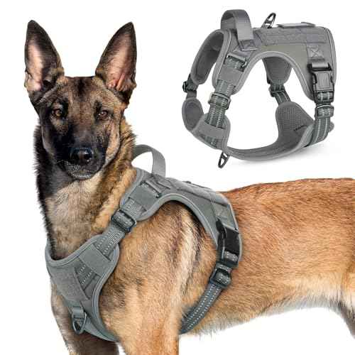 Tactical Dog Harness for X (Grey / X-Large)