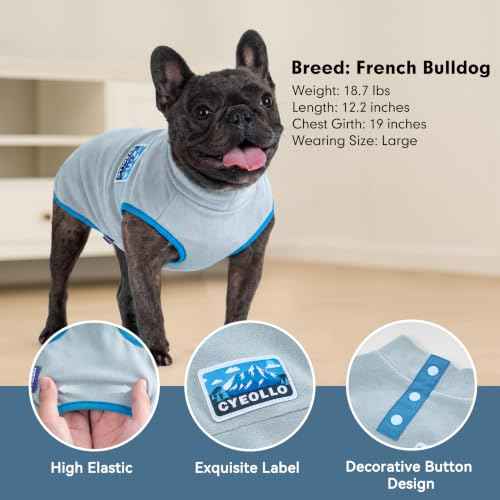 Fleece Dog Sweater (Large / Blue)