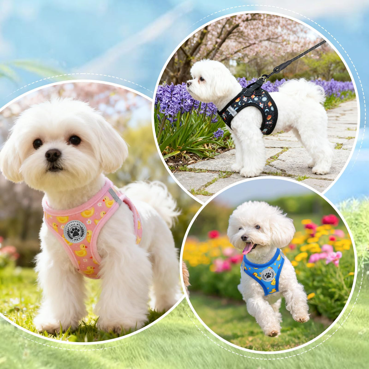 Small Dog Harness and Leash Set (Small(Chest Girth 14.5" - 16") / Black Planet)