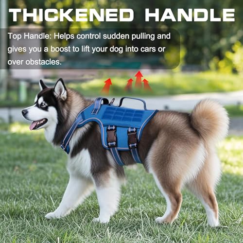 Dog Harness for Large Dogs (Blue / XL(Neck:21-32",Chest:26-39"),75-135 lbs)