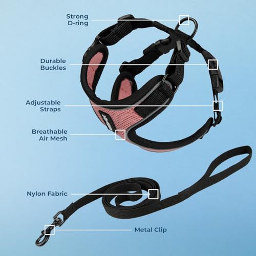 Voyager Step in Lock Cat Harness & Leash Set (Pink/Black Trim / S (Chest: 15 - 18"))