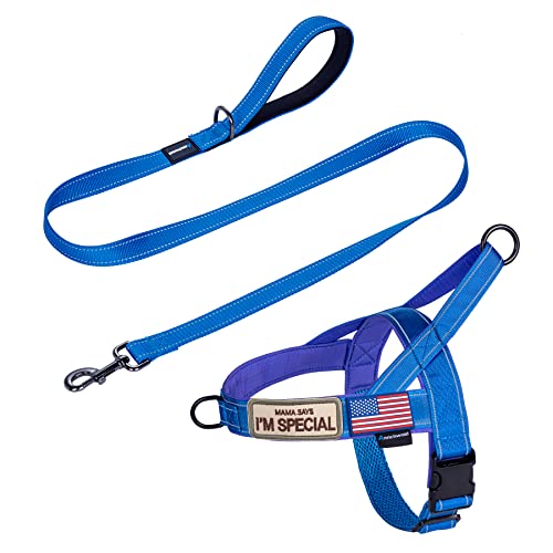 No Pull Dog Harness with Padded Handle+5 Ft Leash (XL / Blue Set)