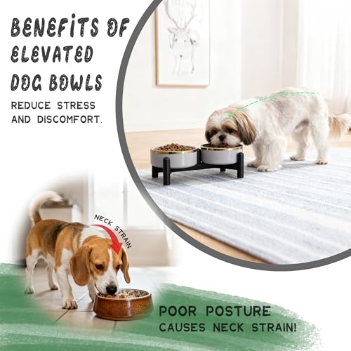 Ceramic Elevated Dog Bowl Set (dark green / 1.6 Cups)